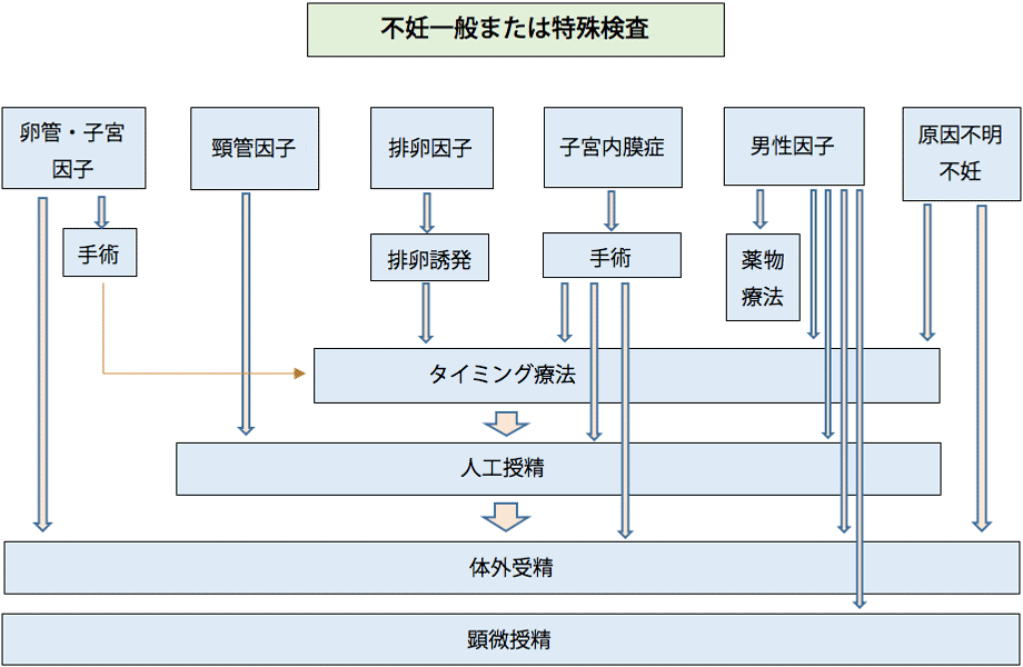 不妊治療の進め方概略