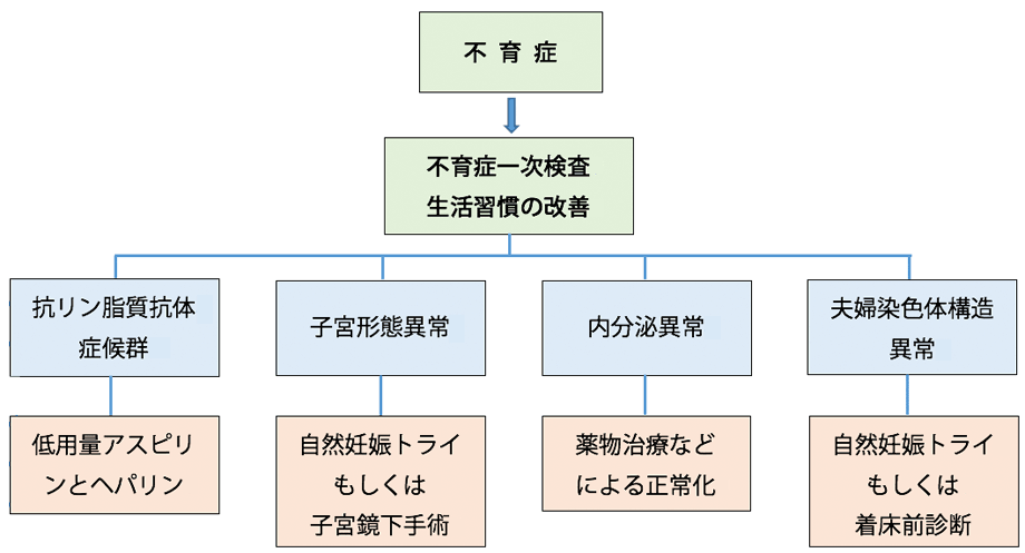 不育症治療のプロトコール