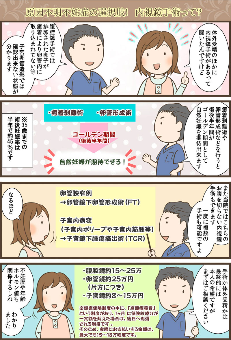 原因不明不妊症の選択肢！　内視鏡手術って？